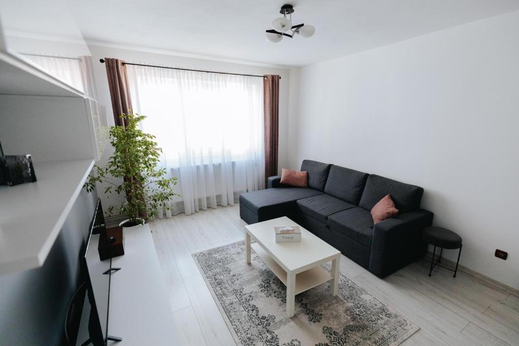 Appartement Scandinavian House à Târgu Jiu Extérieur photo